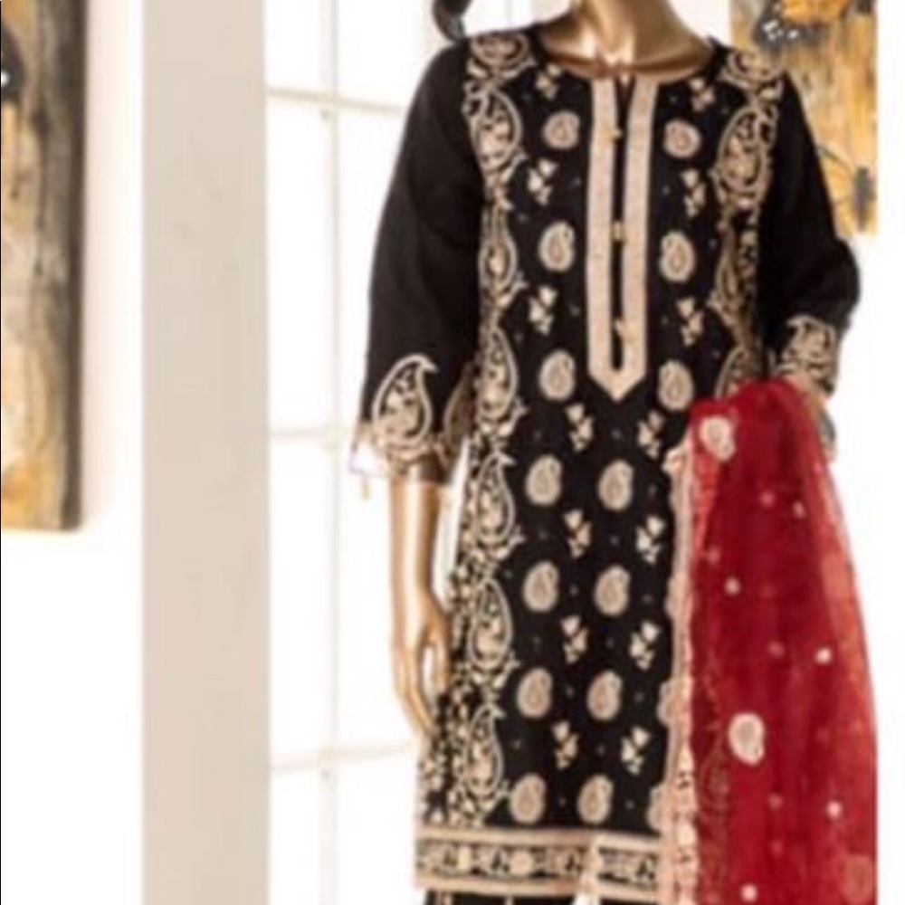 Bin saeed branded organza outfits